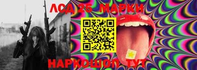 мяу мяу мука Кандалакша