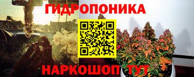 spice Канаш