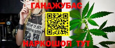 мяу мяу мука Кандалакша