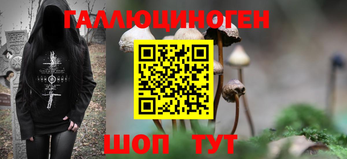 Галлюциногенные грибы Magic Shrooms  Вход с VPN  Кстово  Псилоцибиновые грибы Cubensis 
