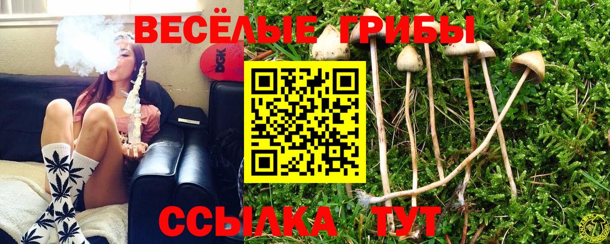 Галлюциногенные грибы мицелий Кстово